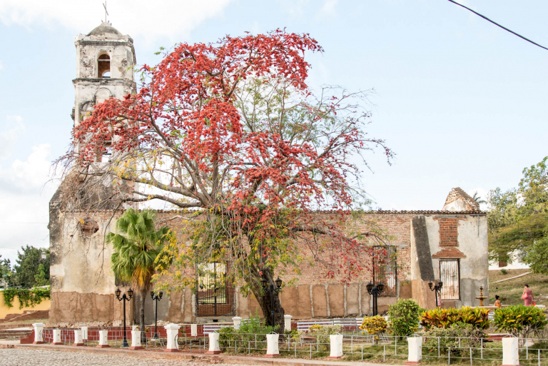 Iglesia abandonada, árbol naranja, Trinidad, Cuba 2016