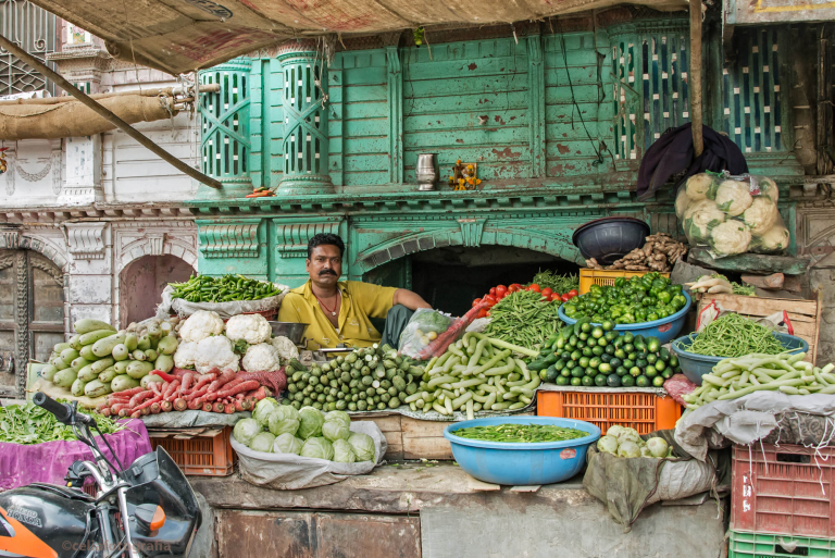 personaje, vendedor ambulante de frutas en mercado de Bikaner, India 2015