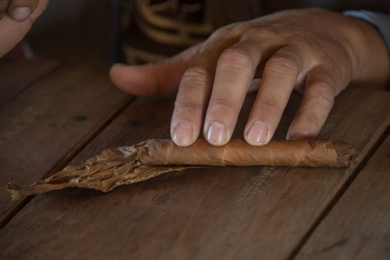 Hojas de Tabaco, Haciendo un puro de tabaco, proceso, Puros, Pinar Del Río, 2016